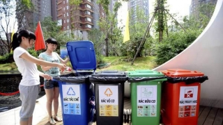 Công ty Cổ Phần Nhân Lực IPM Việt Nam đang tuyển 6 nữ  tham gia đơn hàng xử lý rác thải đi Nhật