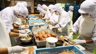 Công Ty Cổ Phần Nhân Lực IPM Việt Nam đang tuyển 6 nữ tham gia đơn hàng chế biến cá khô đi Nhật